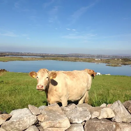 Bed & Breakfast Ardcrone House Donegal Town